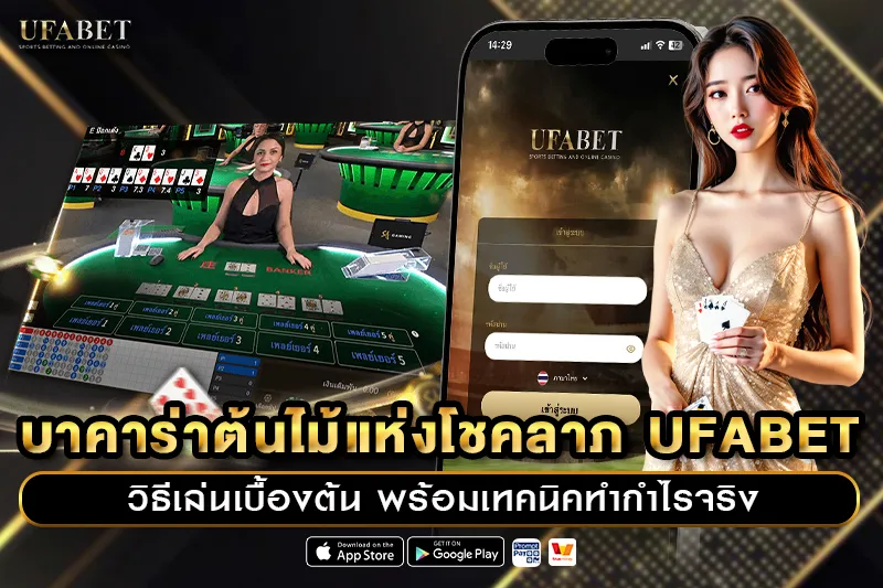 บาคาร่าต้นไม้แห่งโชคลาภ UFABET