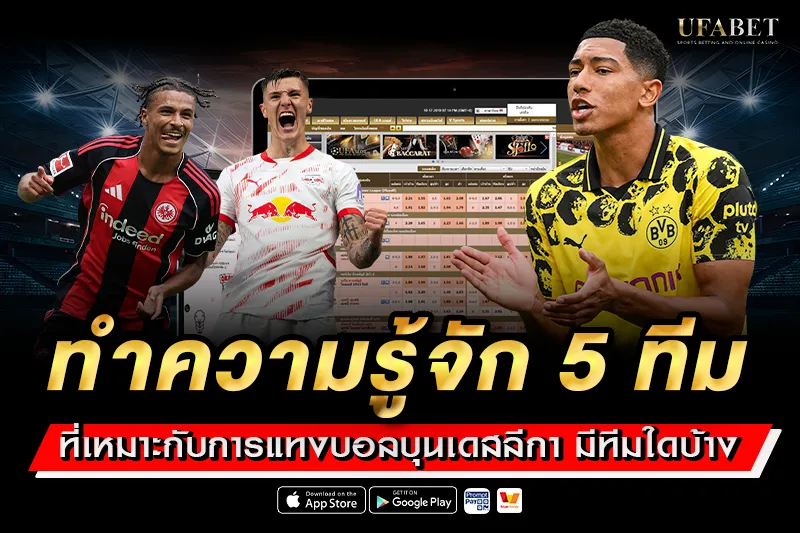 ทำความรู้จัก 5 ทีมที่เหมาะกับการแทงบอลบุนเดสลีกา